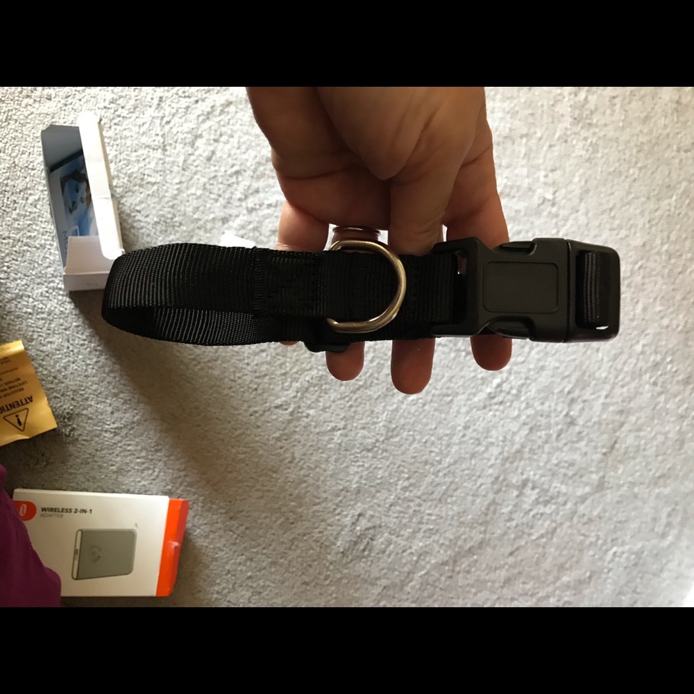 New Dog collar without tags